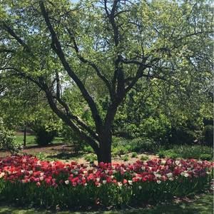 Meet your Posher, Diana